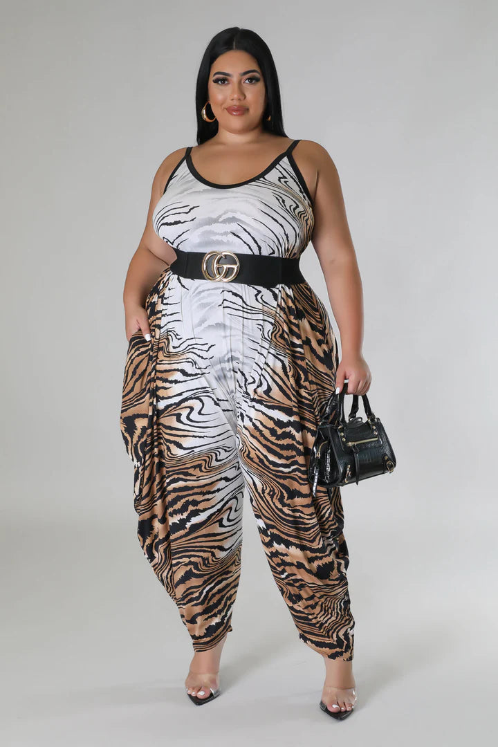 Plus + Curve New Arrivals